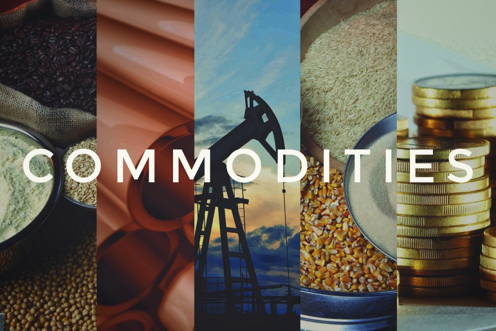 Global Commodity Prices Surge: Implications for Investors